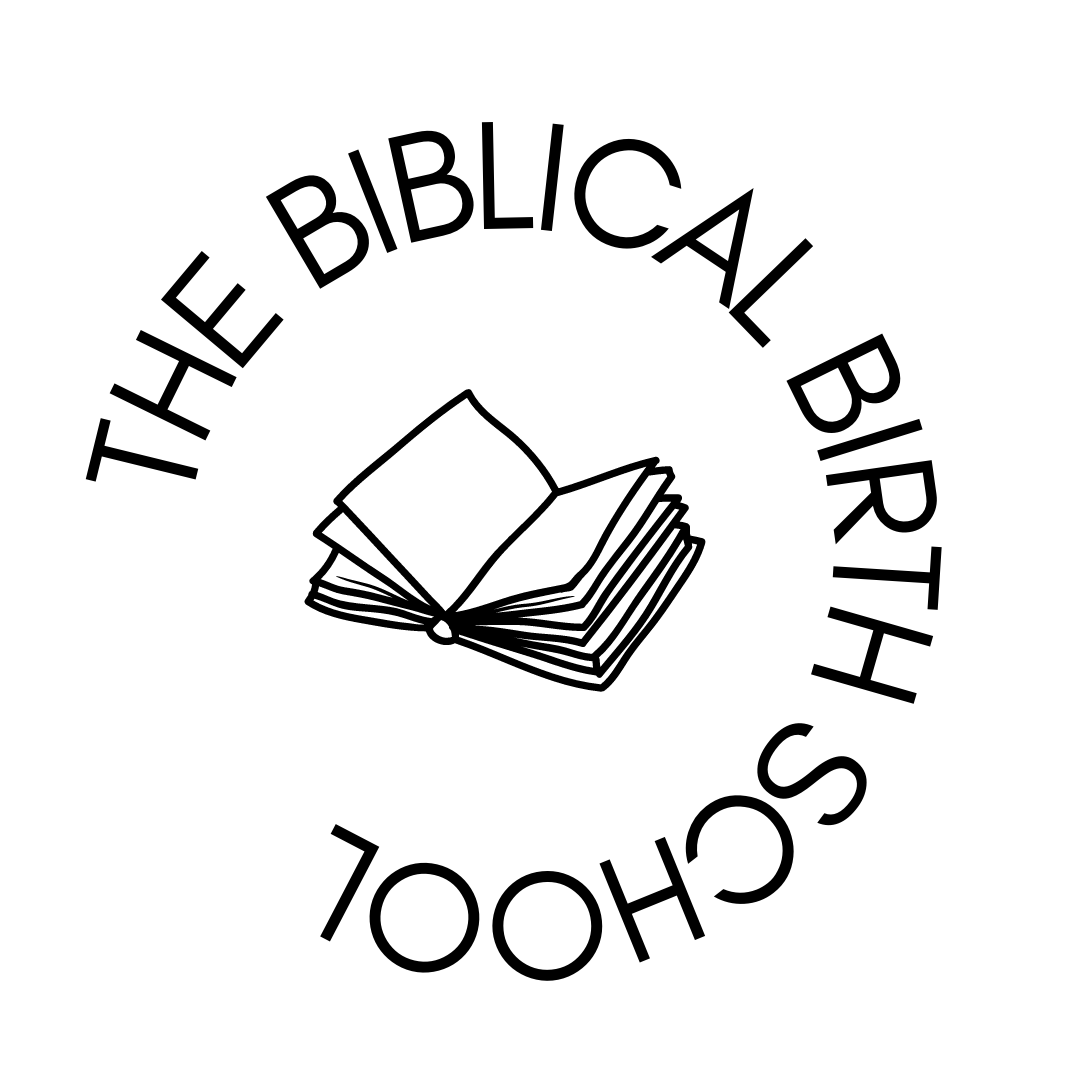 my-courses-the-biblical-birth-school